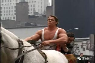 意大利种马在线观看,一场视觉与情感的盛宴 第1张 意大利种马在线观看,一场视觉与情感的盛宴 第1张